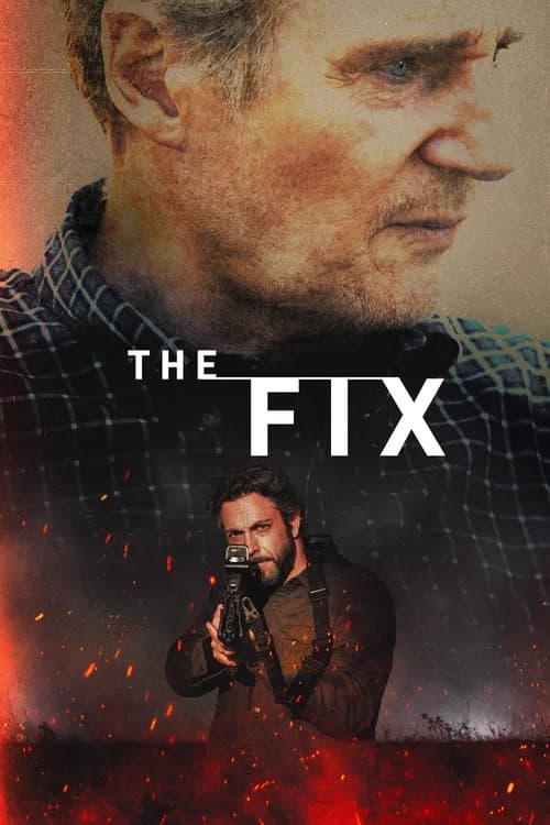 The Fix film afişi