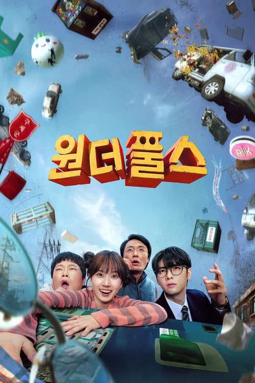 The WONDERfools film afişi