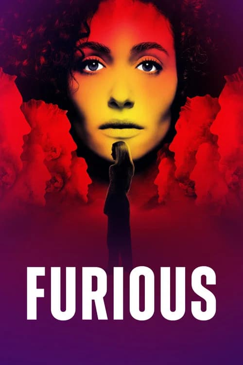 Furious film afişi